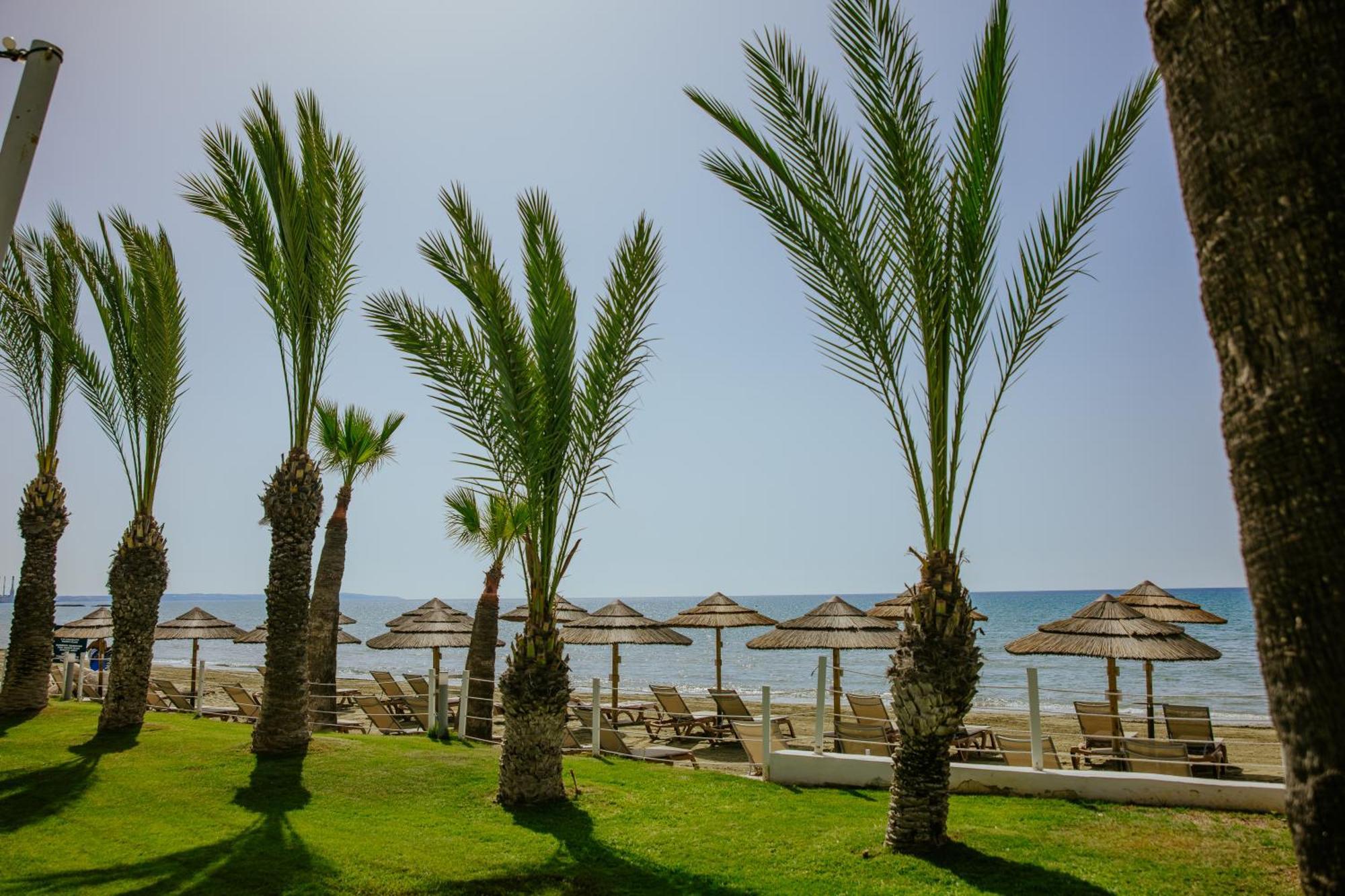金色海湾沙滩酒店 拉纳卡 外观 照片 Palm trees on the beach